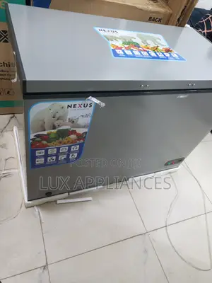 Nexus 250l Silver Chest Freezer