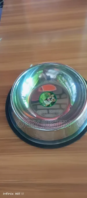 Pet Stainless Feeding Bowl