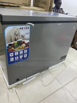 Nexus 250l Deep Freezer With Temperature Control