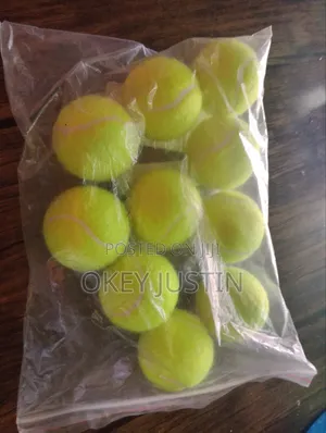 Toy Ball for Pets