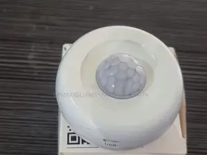 Wireless Motion Sensor