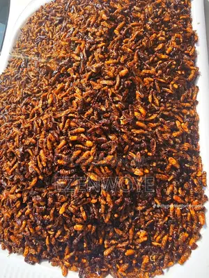 Edible Termites