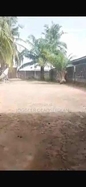Half Plot of Land