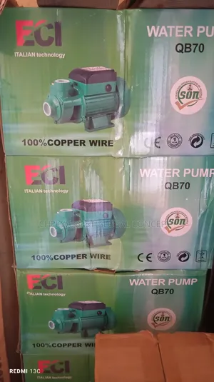 Surface and Pressure Water Pump