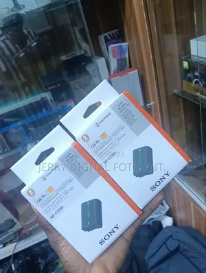 Sony Fz100 Battery