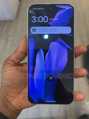 Google Pixel 9 Pro XL 256 GB Silver