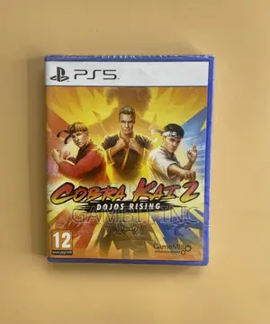 Ps5 Cobra Kai Dojos Rising