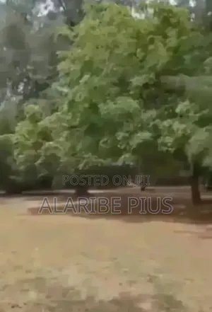 23.7 Acres Of Dry Land 4 Sale At Ikeja Lagos, Nigeria.