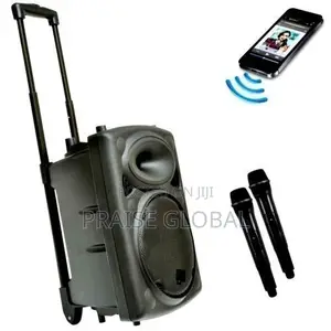 Professional 15" Rechargeable P A,2 Wireless Mic, Bluetooth Usb Port