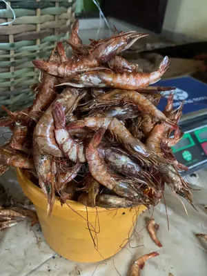 Prawns Seafood
