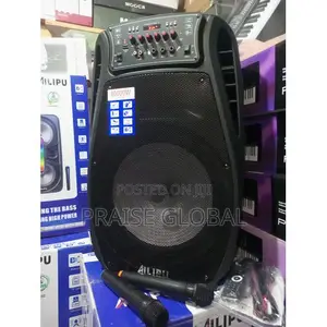Big Battery Capacity 15" Inches Pa Rechargeable Speaker