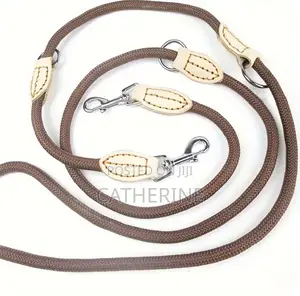 Dog Hands Free Leash With Poop Bag