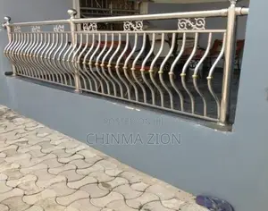 Pregnant Stainless Handrail