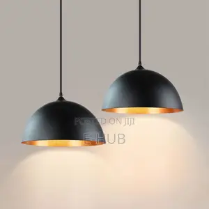 Decorative Dropping Pendants Lights