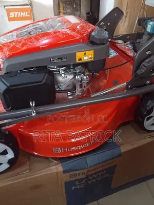 Lawn (Pushing and Driving) Mowers Brushcutter/Slasher (Grass Cutting)