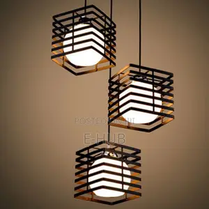 Pendant Bulb Dropping Light