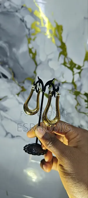 Stunning Non Tarnish (U) Shaped Earring