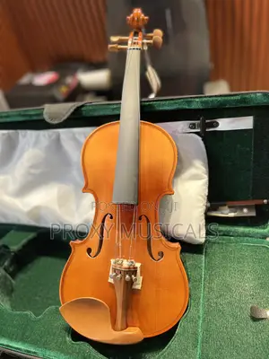 Professional Concert Violin