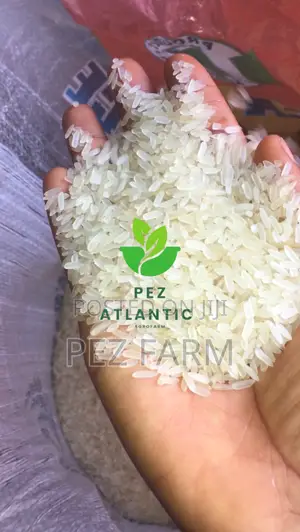 Bag Of Rice