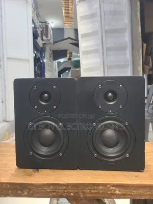 Subzero 2 Side Powered Studio Monitor Speaker Sz-4a