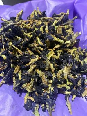 Butterfly Pea
