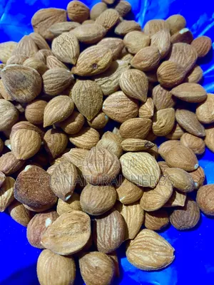 Bitter Apricot Kernel