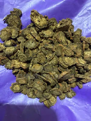 Danshen (Red Sage Root)