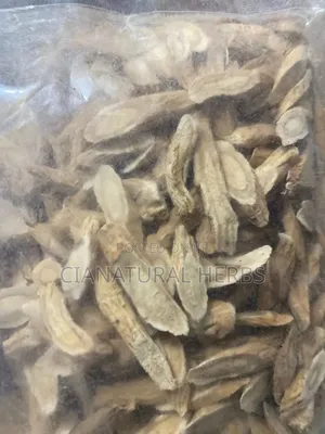 Astragalus Root