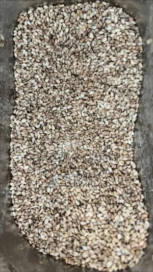 1kg Roasted Sesame Seeds With Skin, Crispy, Ready to Eat, Sprinkle
