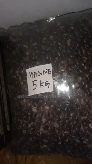 Macuna Seeds