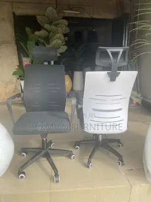 Imported Argronomic Chair