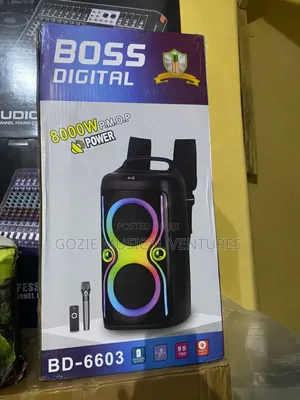 Boss Digital Bd-6603 Complete 8000 Watts and It Comes With One Wireles