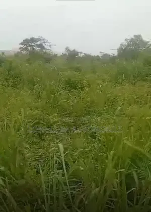 A Plot of Land and Half