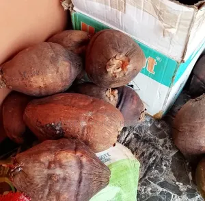 Coconut Ball Available