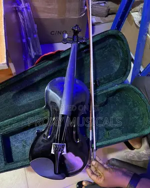 Professional Black Acoustic Violin (4/4 Full Size)