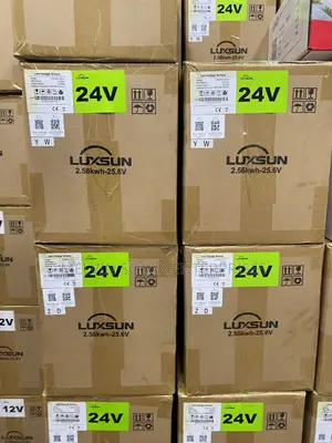 2.56kwh 24v Luxsunsolar Lithium Ion Phosphate Batteries Available