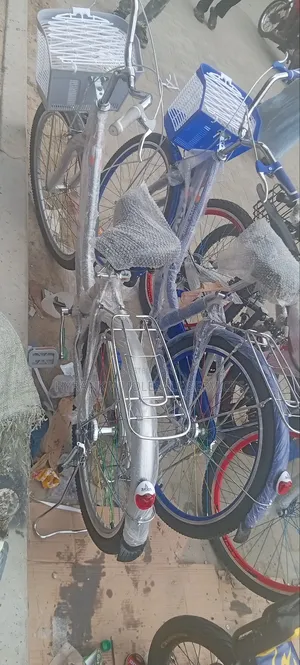 Adult Bicycle