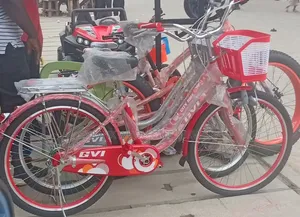 Adult Bicycle