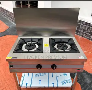 Industrial 2 Burner Gas Cooker