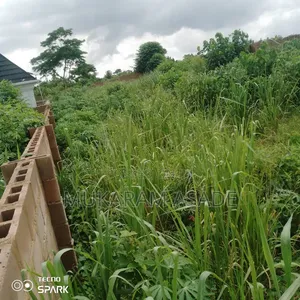 A Plot of Land Available for Sale at Giwa Oresanya Shimawa Ogun State