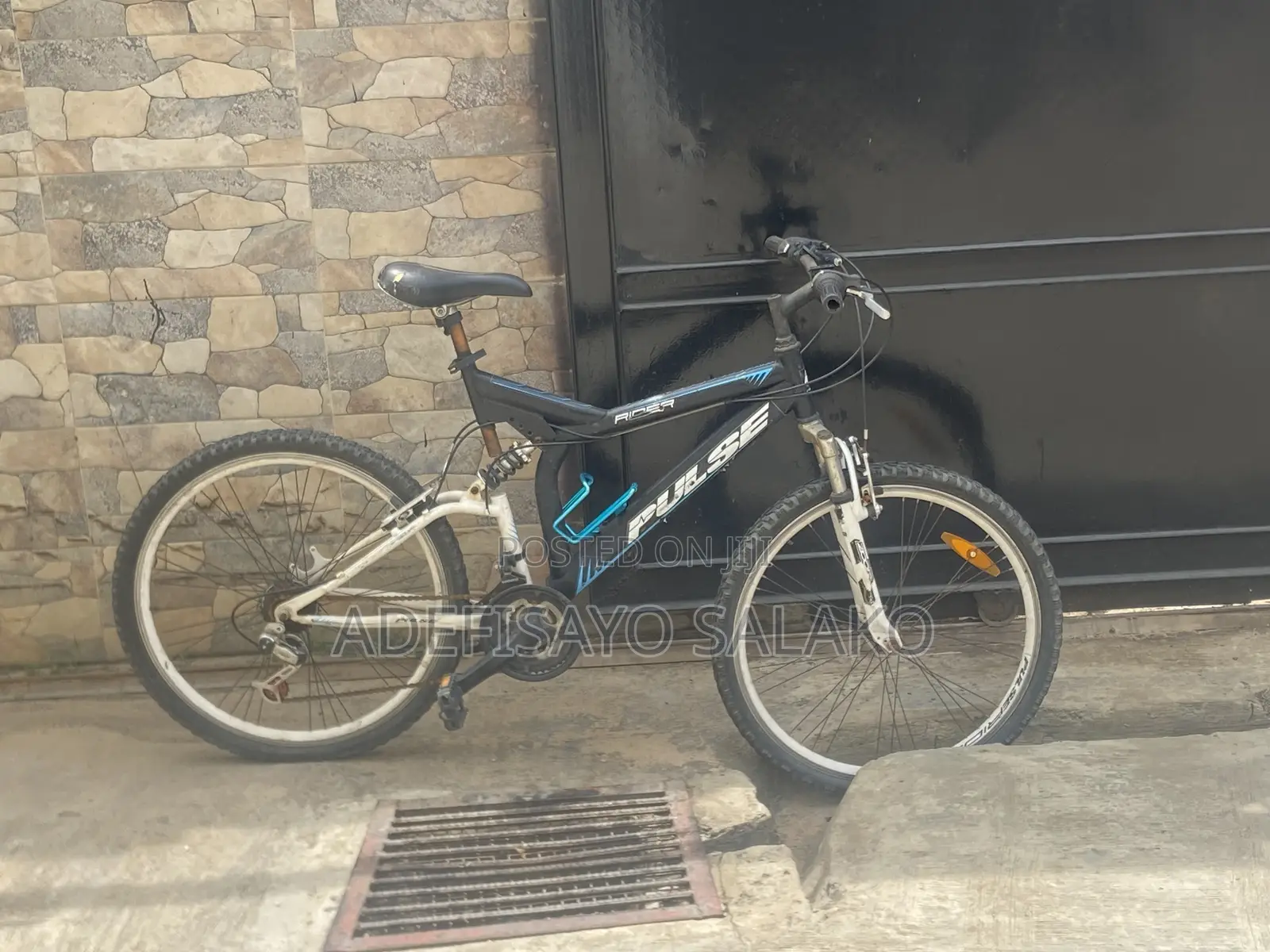 Adult Bicycle
