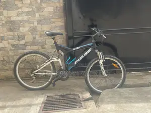 Adult Bicycle