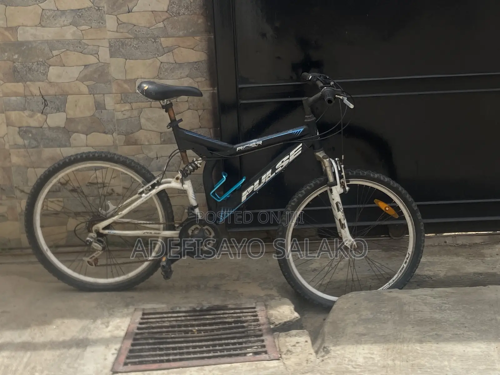 Adult Bicycle