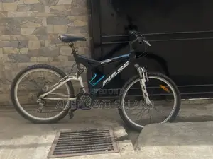 Adult Bicycle