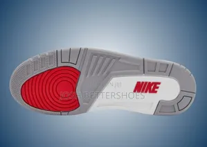 Air Jordan 3s