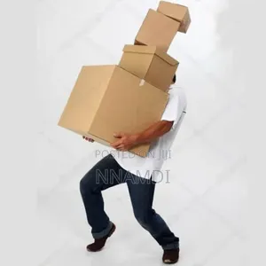 Medium Strong Brown Carton Moving Box in Ogba