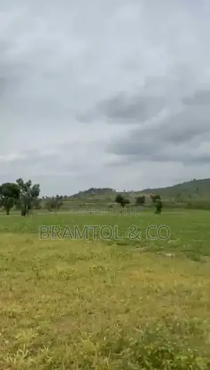 Estate Land for Sell