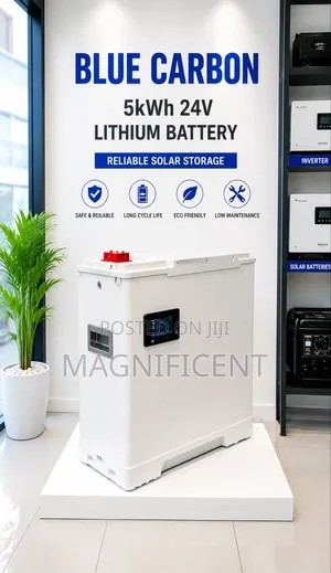 Blue Carbon 5kwh 24v Lithium Battery – Reliable Solar Storage