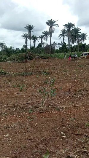 500sqm of Land at Ilishan Ikenne Rd Ogun State