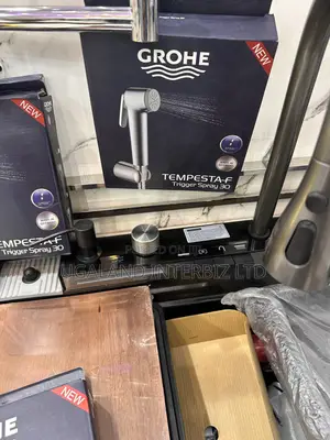 Grohe Handheld Trigger Spray
